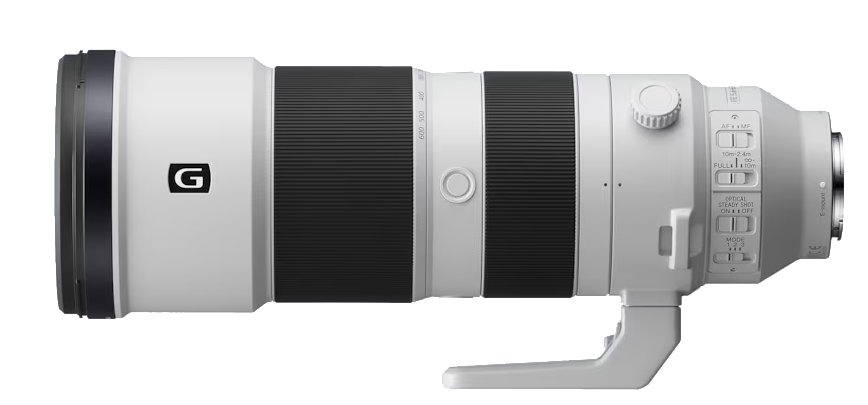 Sony 200 – 600mm/robin